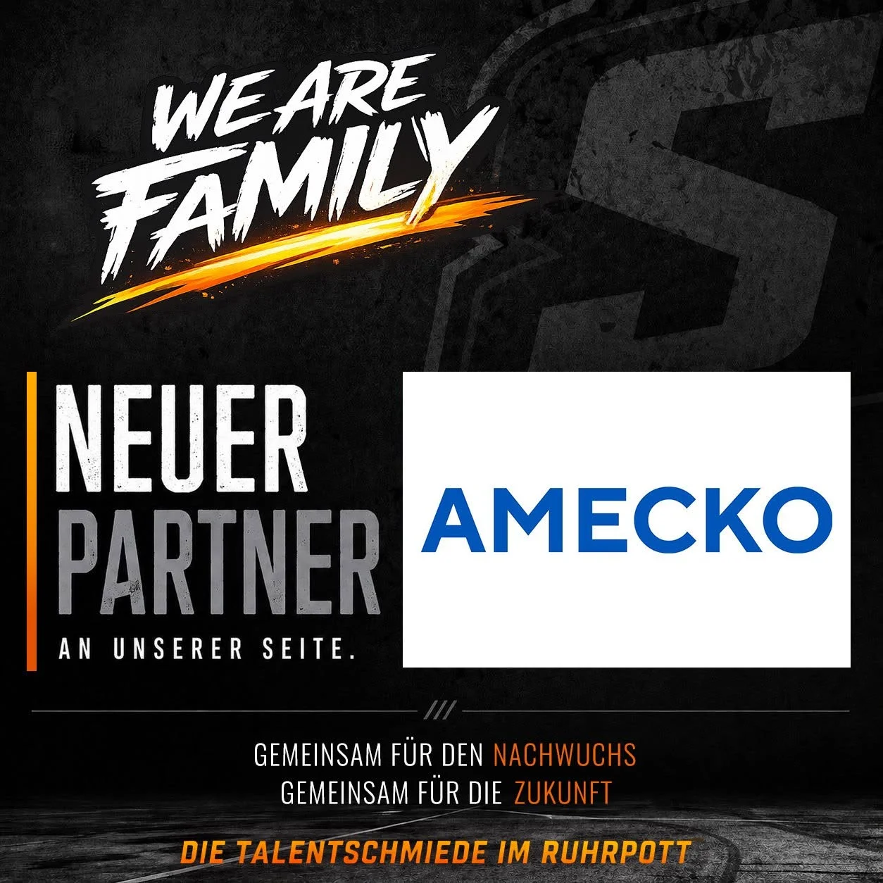 Neuer Partner: AMECKO GmbH